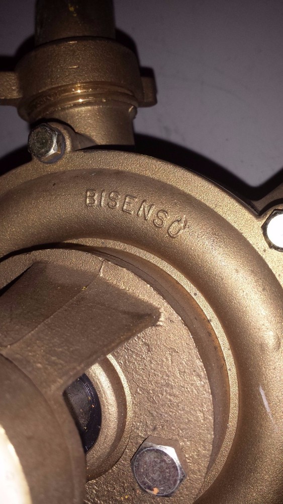 Bisenso Transfer Pump