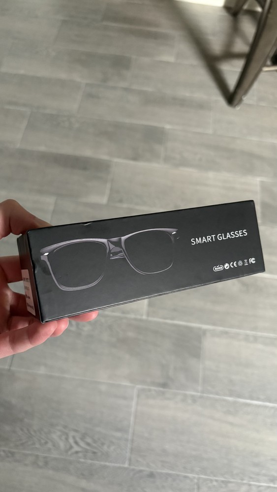 Portable Smart Glasses