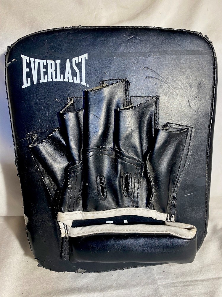 Everlast Boxing Training Gloves & Training Pad