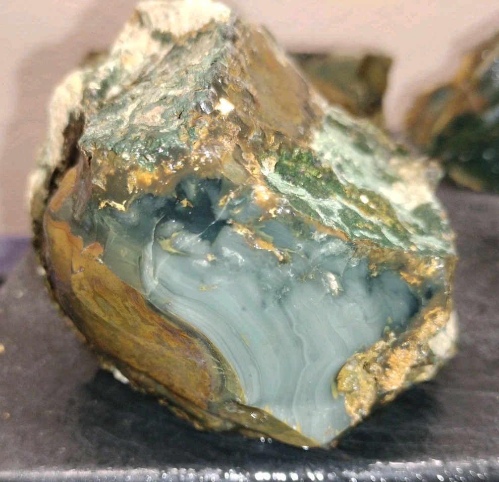 6.2LB ORBS Blue Mountain Picture of Jasper Rough 4pc Lot #23