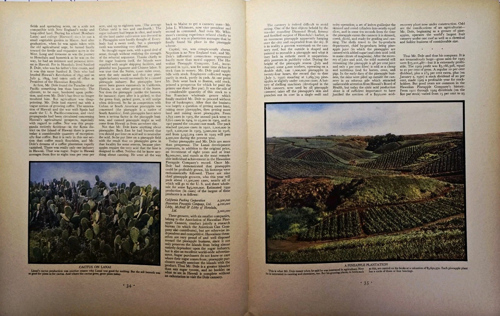 1930 Pineapples In Paradise Magazine Article Hawaiian Pineapple Co Lanai Dole