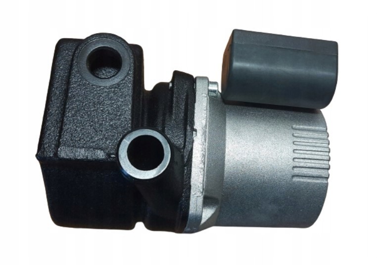 Vaillant 161106 Pump VPCR-5