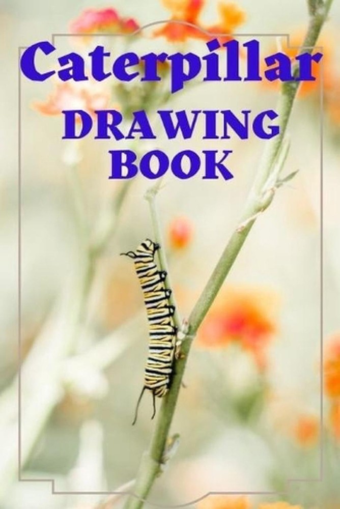 Caterpillar drawing book