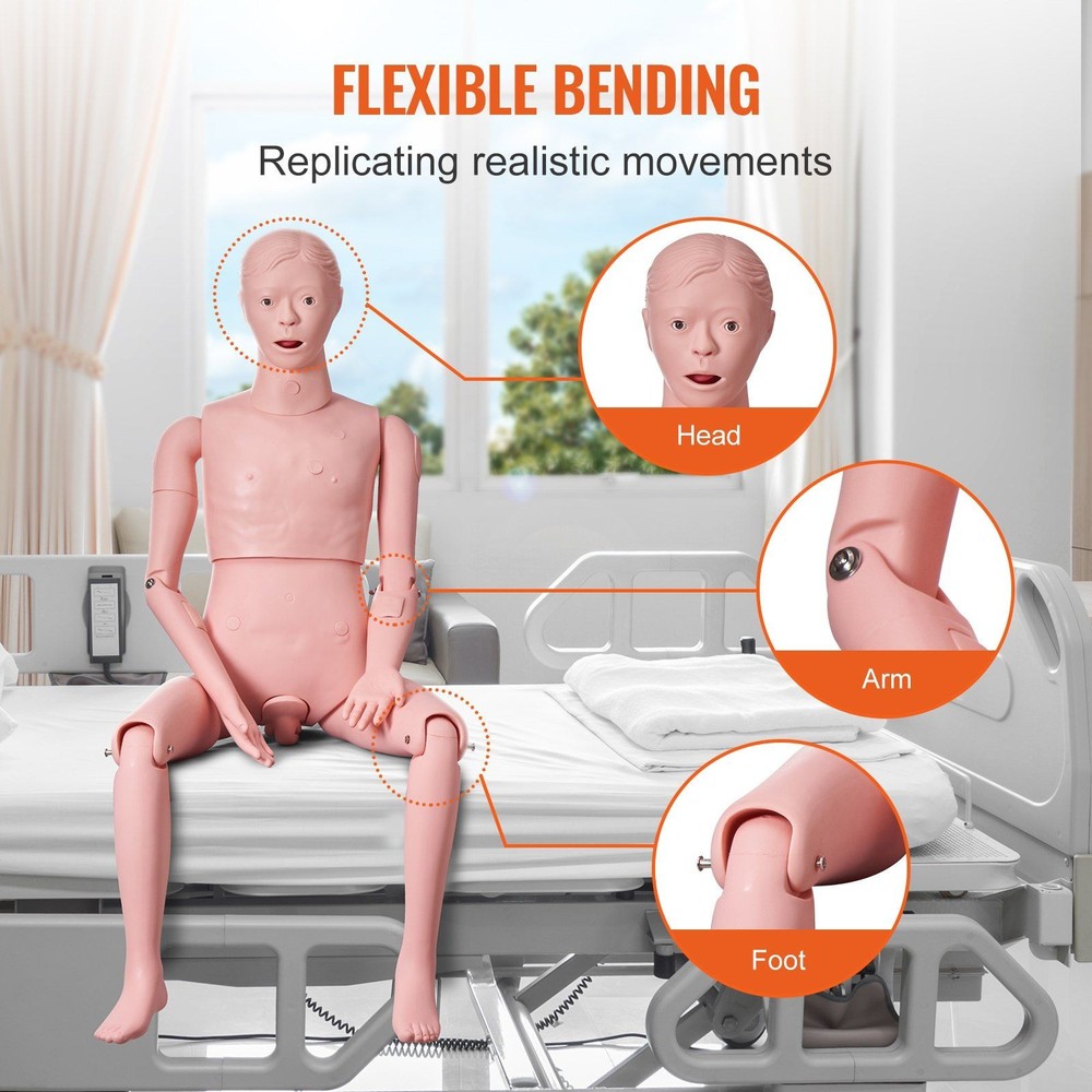 Male Nursing Training System with Realistic Tissue Response and Durability