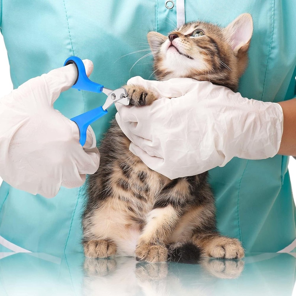 5-Piece Cat Bathing Set: Adjustable Grooming Bag, Muzzle & Clipper Essentials