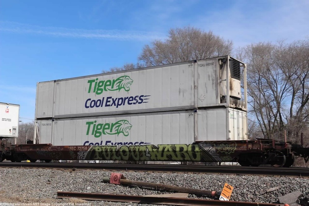 N Scale Container Decals. " Tiger Cool Express ".