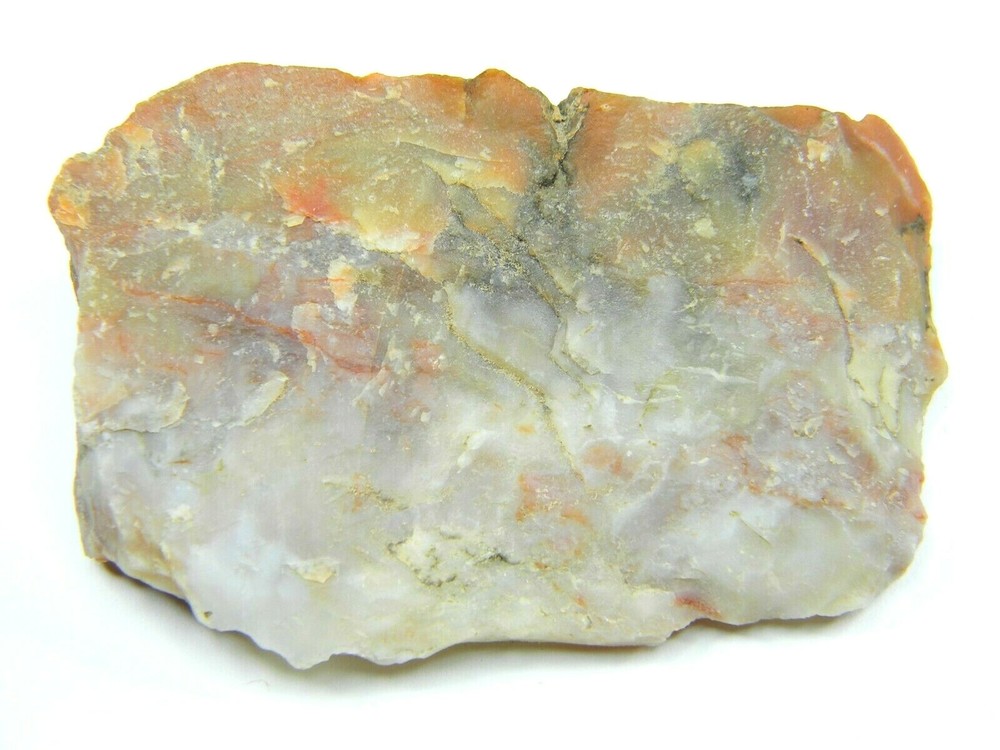 Agatized Dinosaur Coprolite Utah 67.01 grams