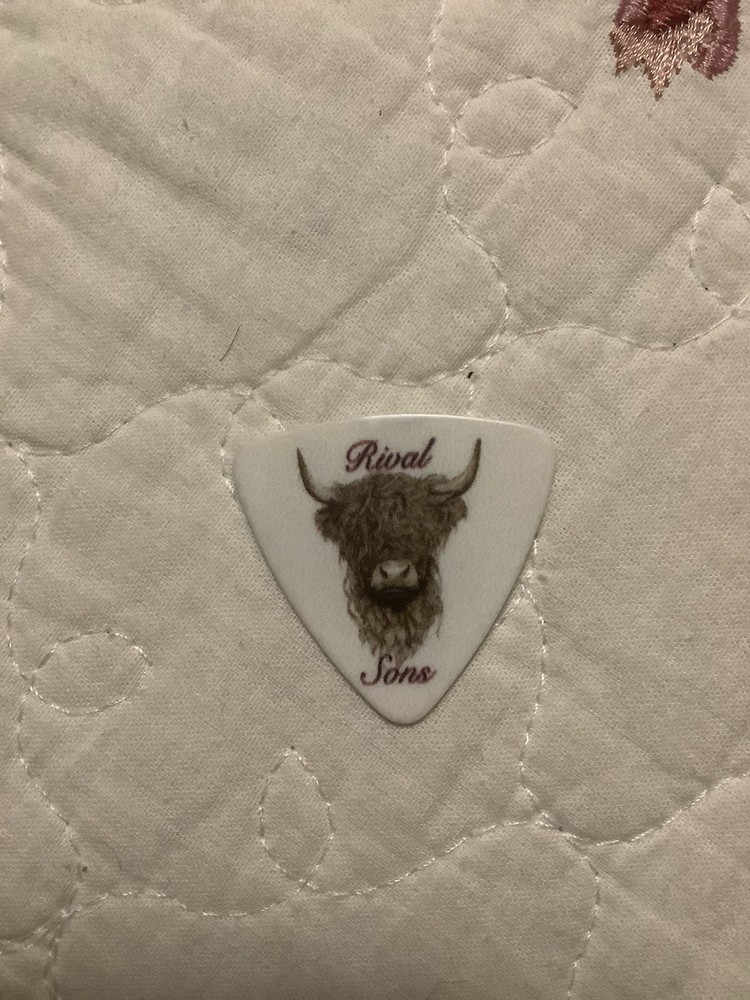 Rival Sons Guitar Pick