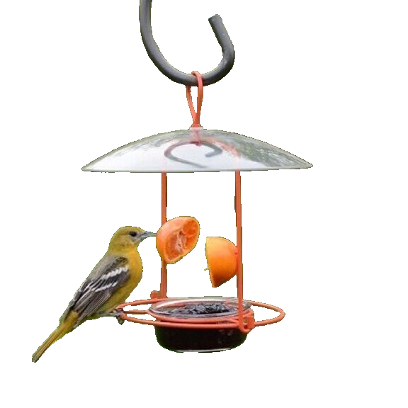 Meijer Wire Oriole Feeder