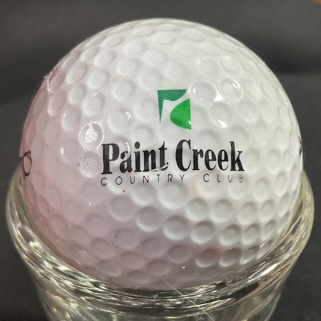 MICHIGAN "P+Q" GOLF COURSE LOGO BALLS