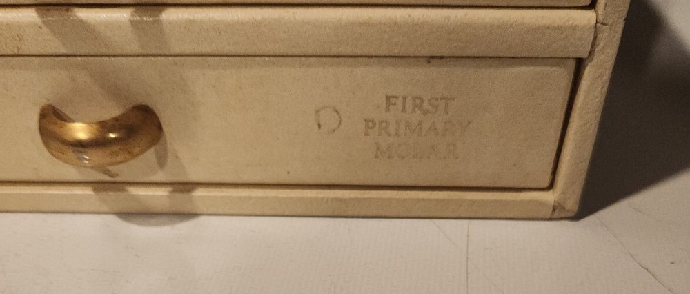 Unitek First Primary Molar Second Primary Molar First Permanent molar crowns
