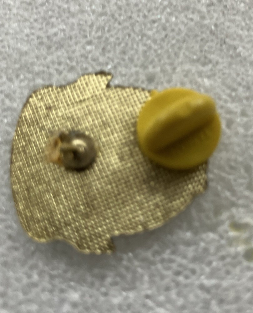 7th CAVALRY GARY OWEN PIN