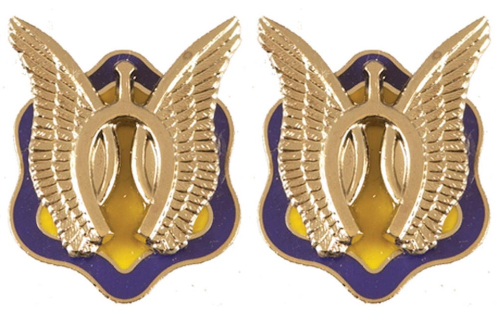 17th Cavalry Distinctive Unit Insignia - Pair
