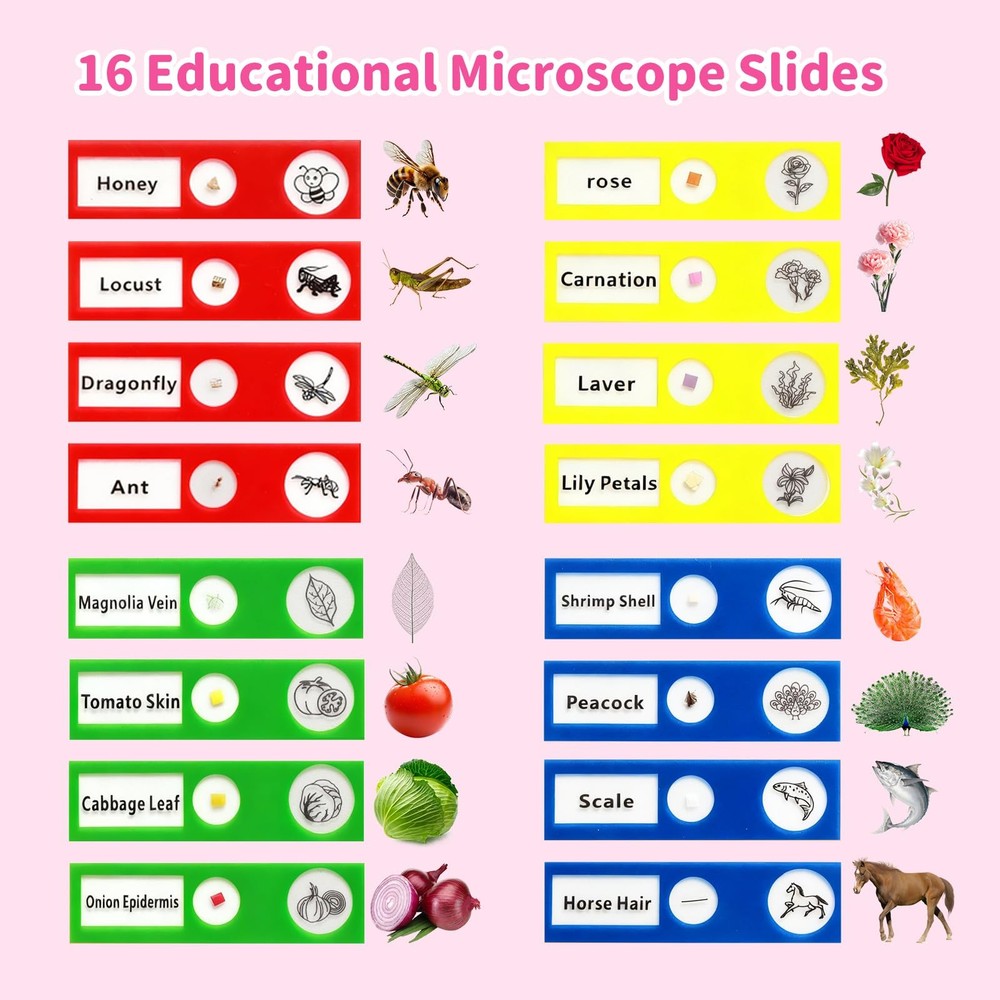 Microscope for Kids, 2.4" Handheld Digital Pocket Microscope, STEM Educationa...