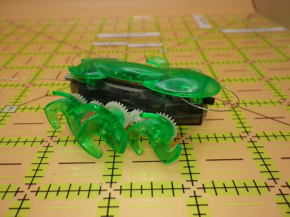 HEXBUG Micro Robotic Spider Green Translucent Crawling Toy - Working