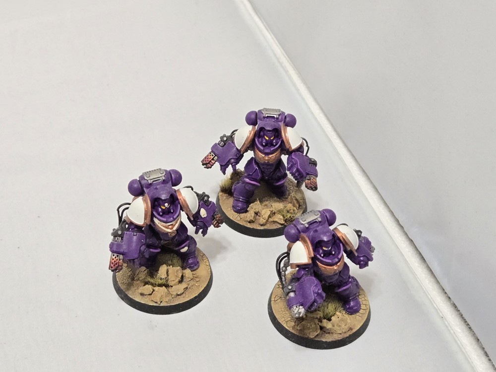 Space Marine Painted Army