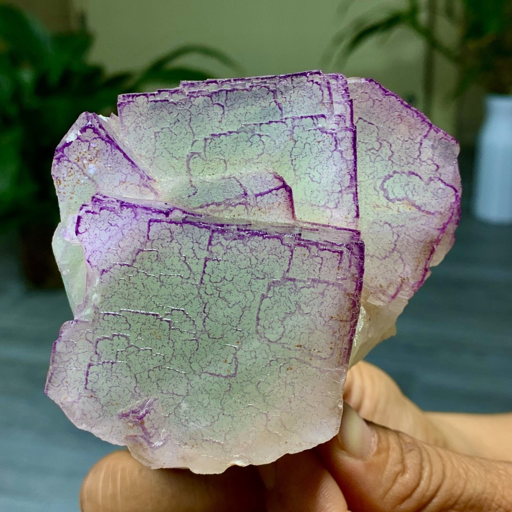 3 Code"Fluorite Cluster Crystal Mineral Specimen/Guizhou