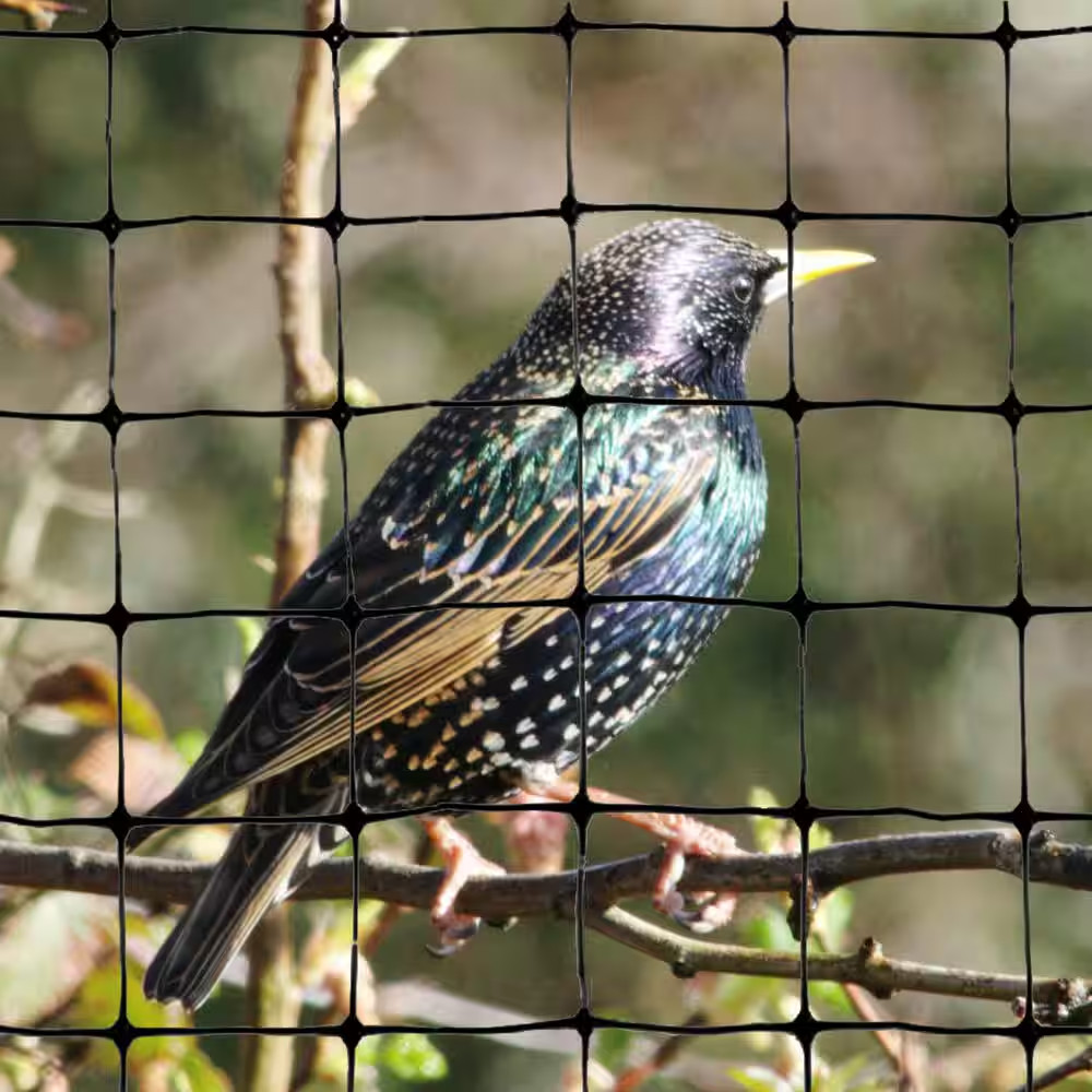 100 Ft. X 14 Ft. Structural Bird Netting