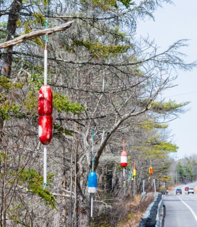 FREE SHIP 183 Maine Lobster BUOY nautical pot bouy float shore crab Lake CAPE