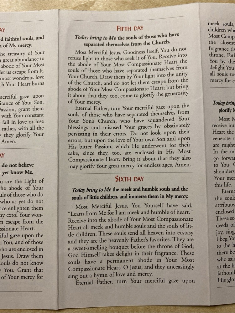 Divine Mercy Novena And Chaplet Rosary Companion Prayer Booklet Pamphlet