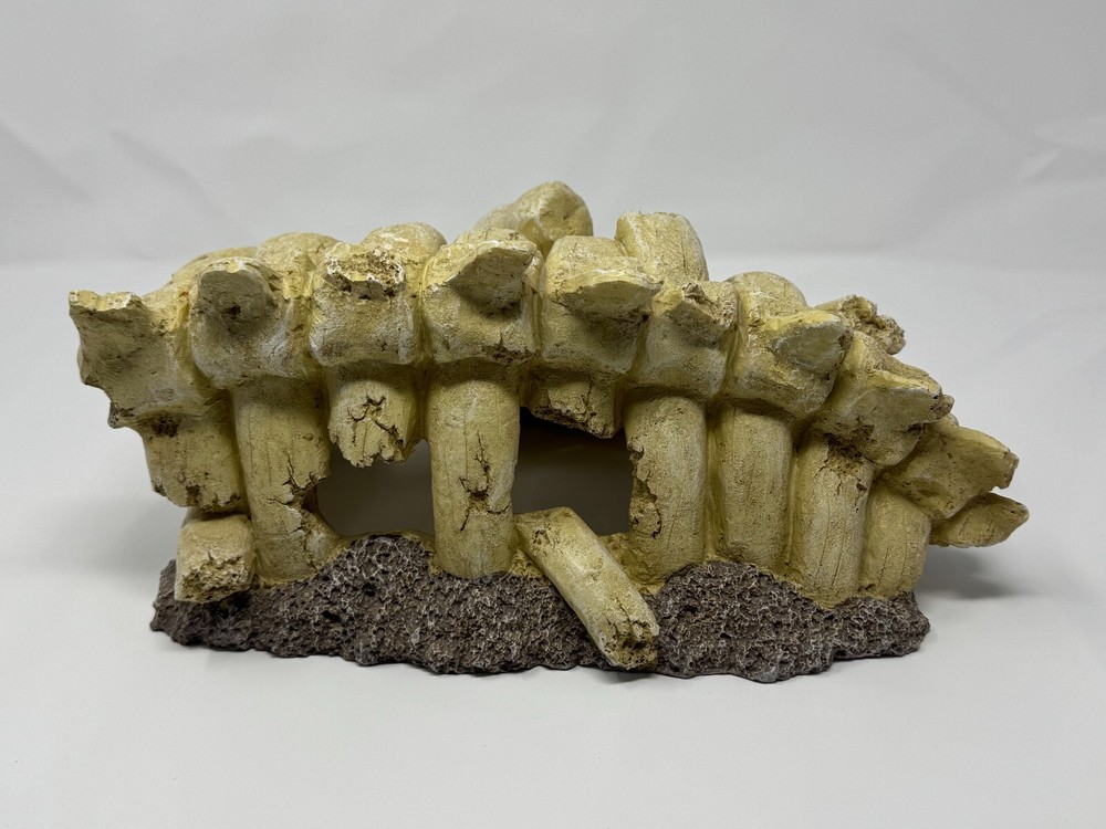 Bones Aquarium Decoration for Reptile