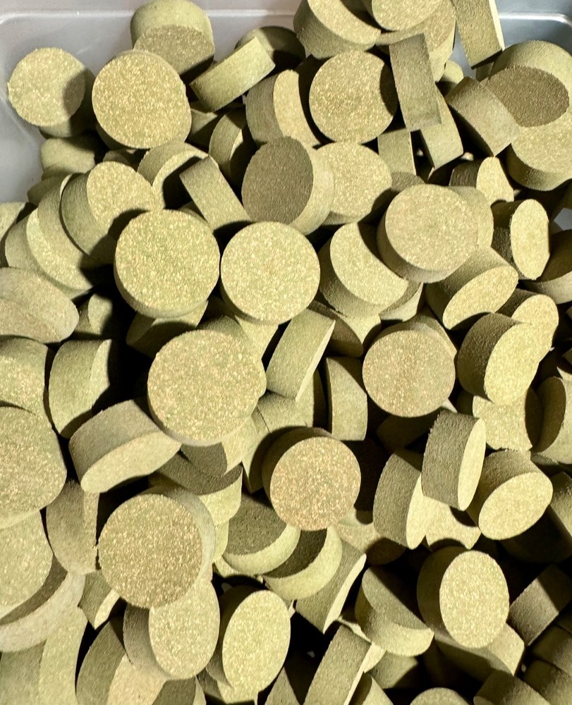 Cork Rings, 10 Premium Green Rubberized 1/2" Solid