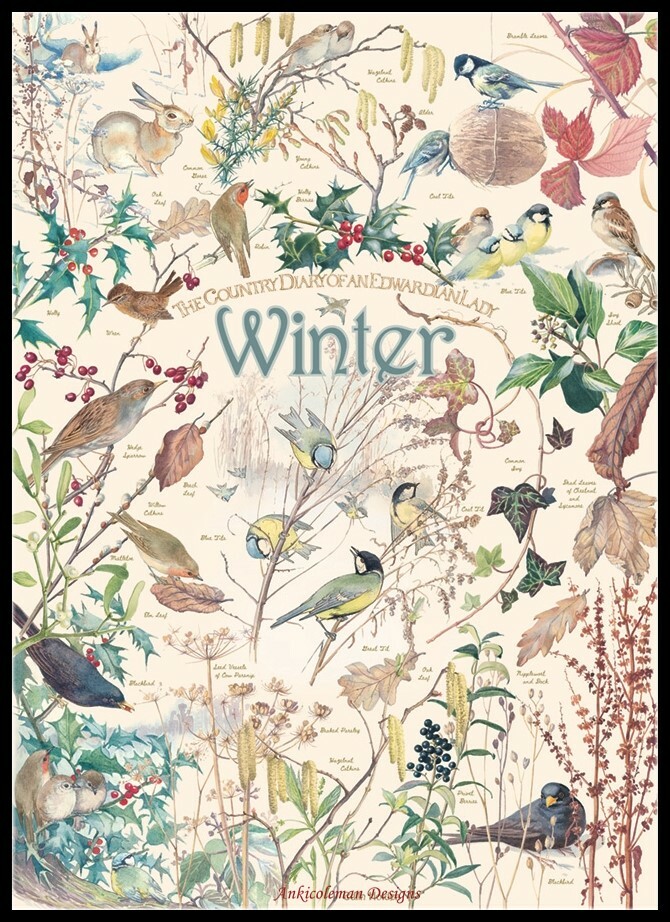 Country Diary Winter - Chart Counted Cross Stitch Patterns Needlework DIY DMC