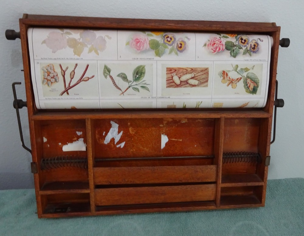 Super Rare 1904 Educational School Chart Roller Teaching Marcius Willson Botany