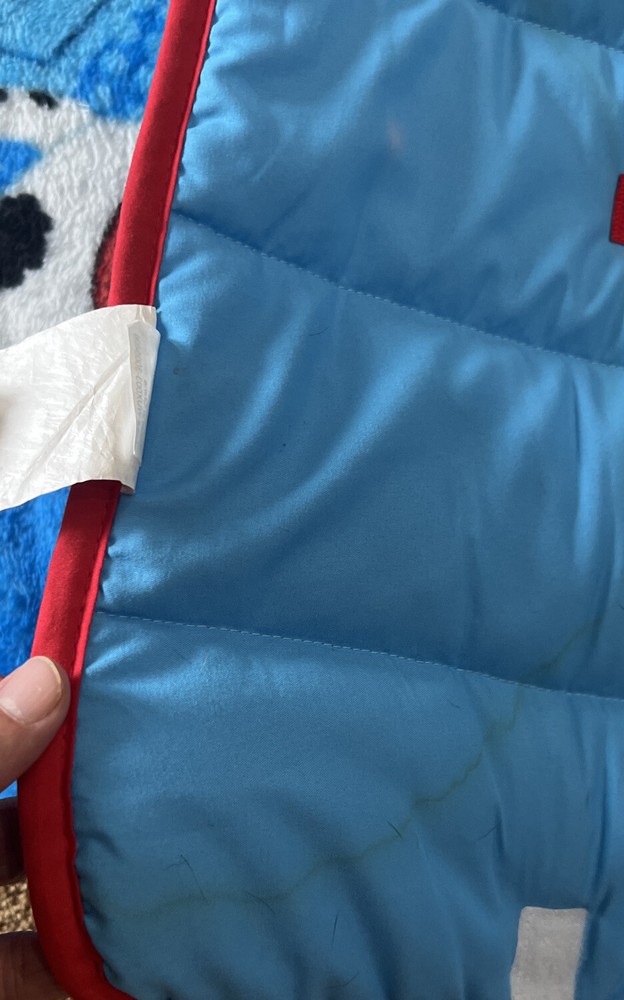 Paw Patrol Sleeping Mat
