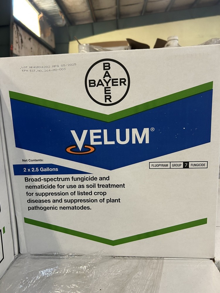 Velum 5 gallon case