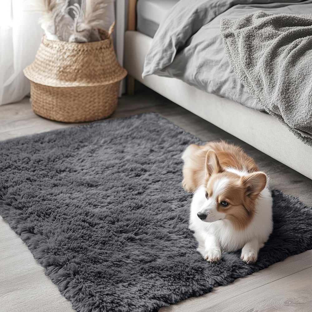 OLANLY 2x3 Machine Washable Small Bedside Rug, Soft Fluffy ft, Grey