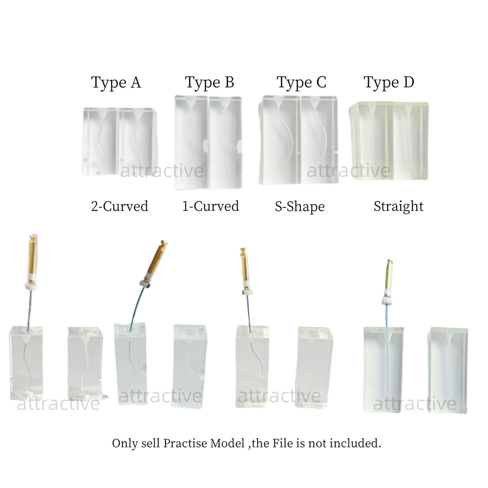 Dental Endo Root Canal Model Training Block Endodontic File Training Teaching