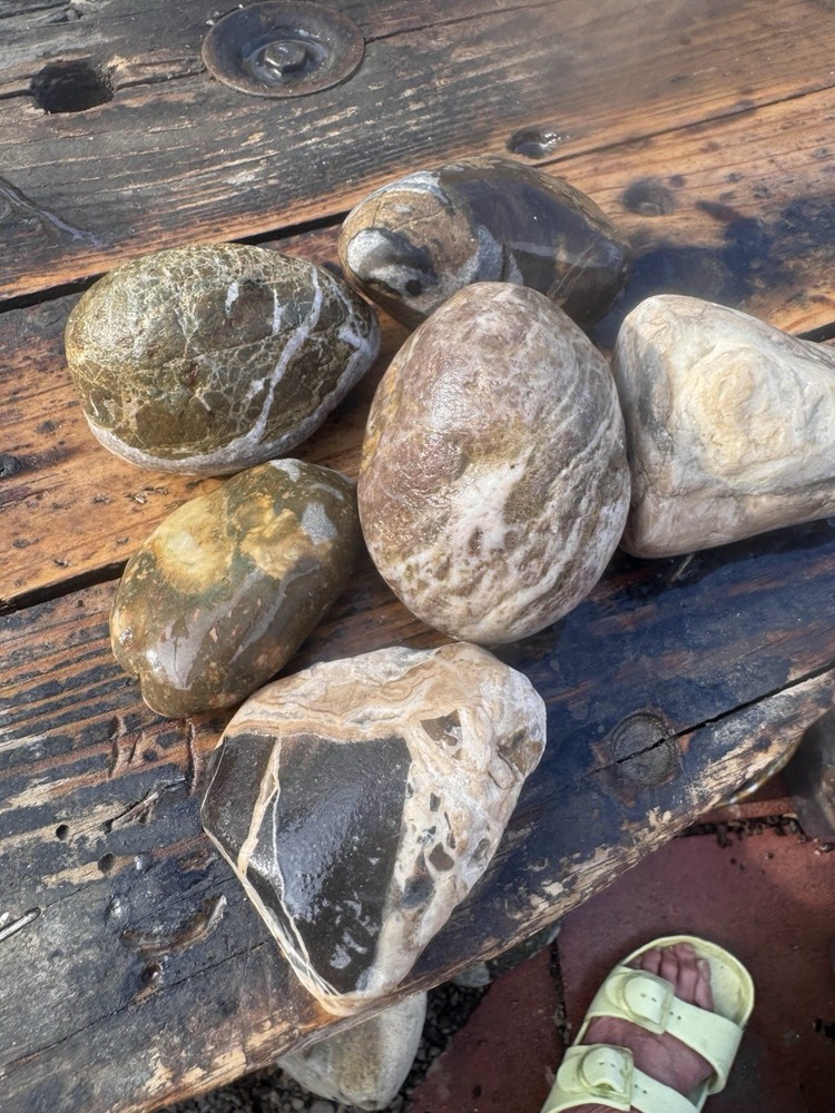 Rocks for Tumbling Lapidary Material Rough
