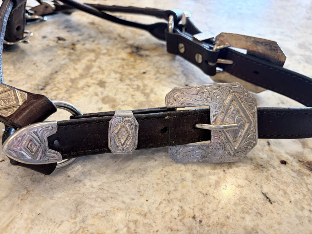 Schneiders silver horse show halter