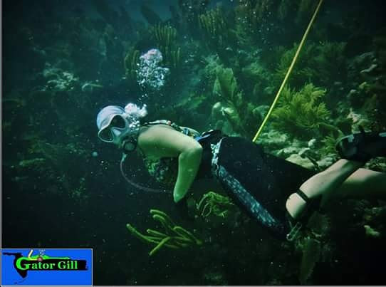 Hookah Diving 2 diver 50' Hose package/5 Micron filter. Just add a COMPRESSOR