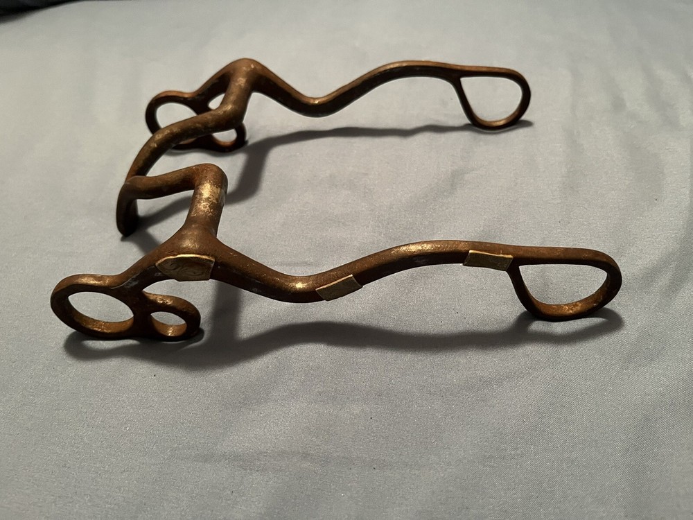 Solid Steel Slant Back Cathedral 5” Western Bit Silver Sided