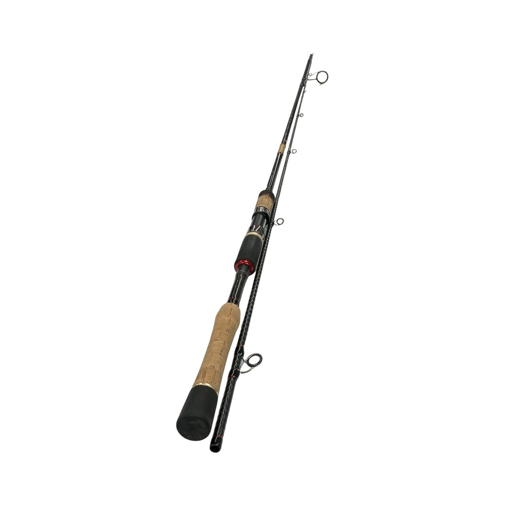 APIA seabass rod Foojin AD ﾋﾞｰｽﾄﾌﾞﾛｳﾙ95MH