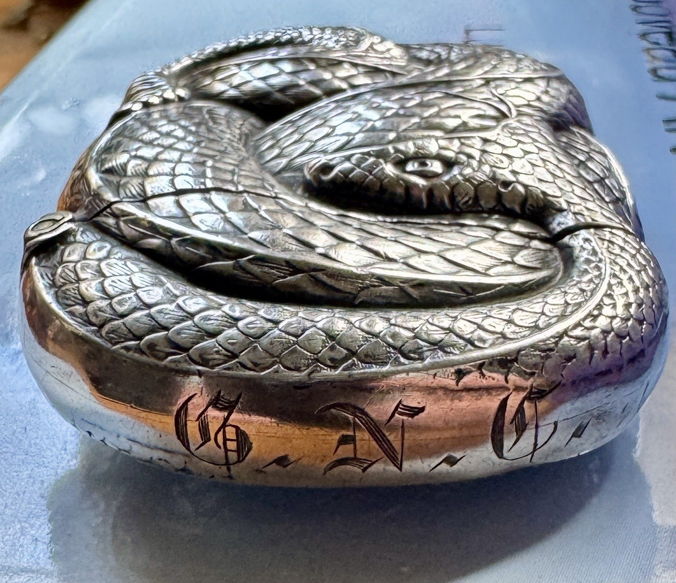 VERY RARE WILLIAM KERR STERLING FIGURAL RATTLESNAKE MATCH SAFE VESTA CASE C 1905