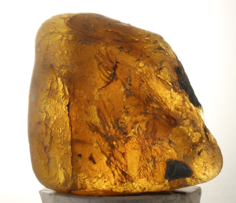 ++ DANDY! Mexican Amber Raw 72g ++