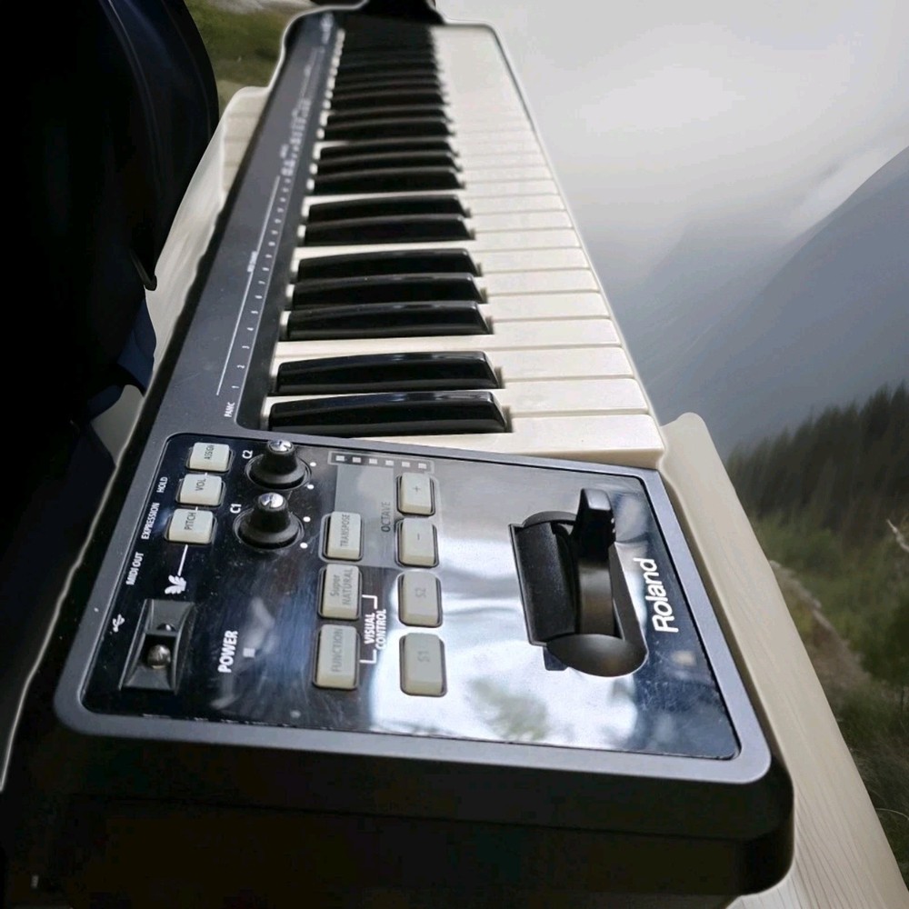 Roland A49BK 49 Key USB MIDI Controller - Black