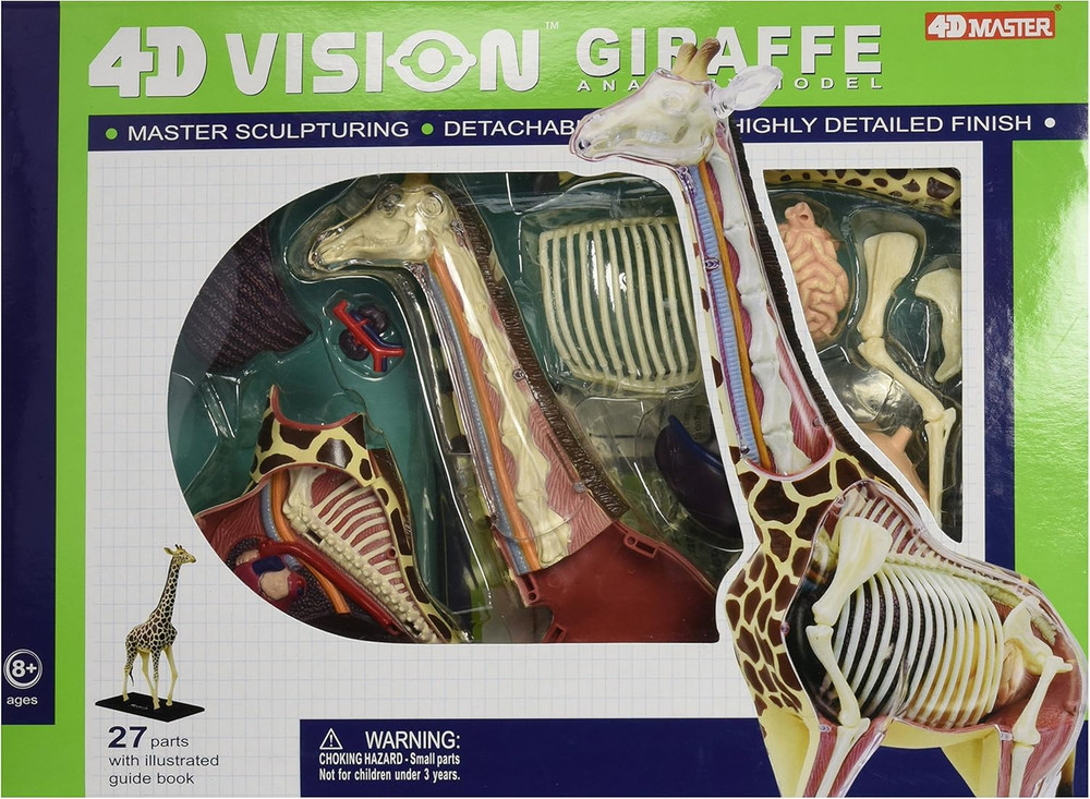 4D Vision Giraffe Anatomy Model, 14.5 Inches