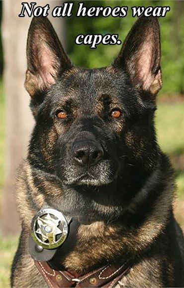 German Shepherd refrigerator magnet  2 1/2 x 3 1/2"