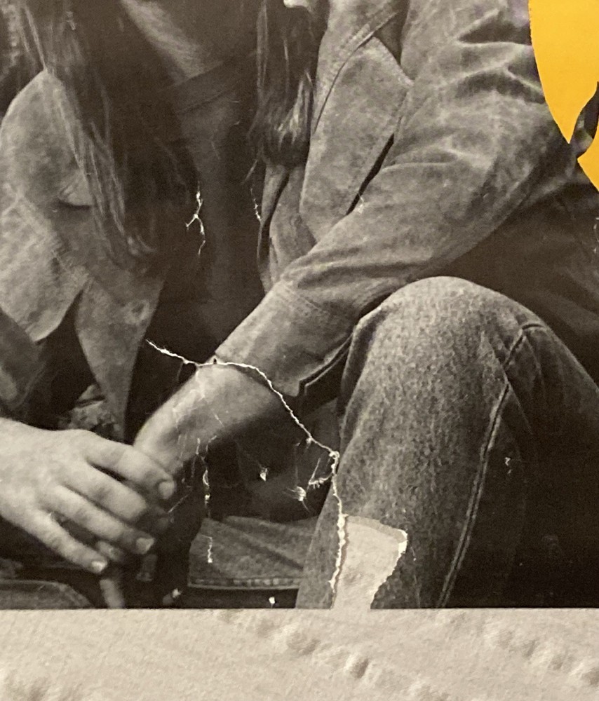 Blind Melon 1992 Promo Poster Shannon Hoon S