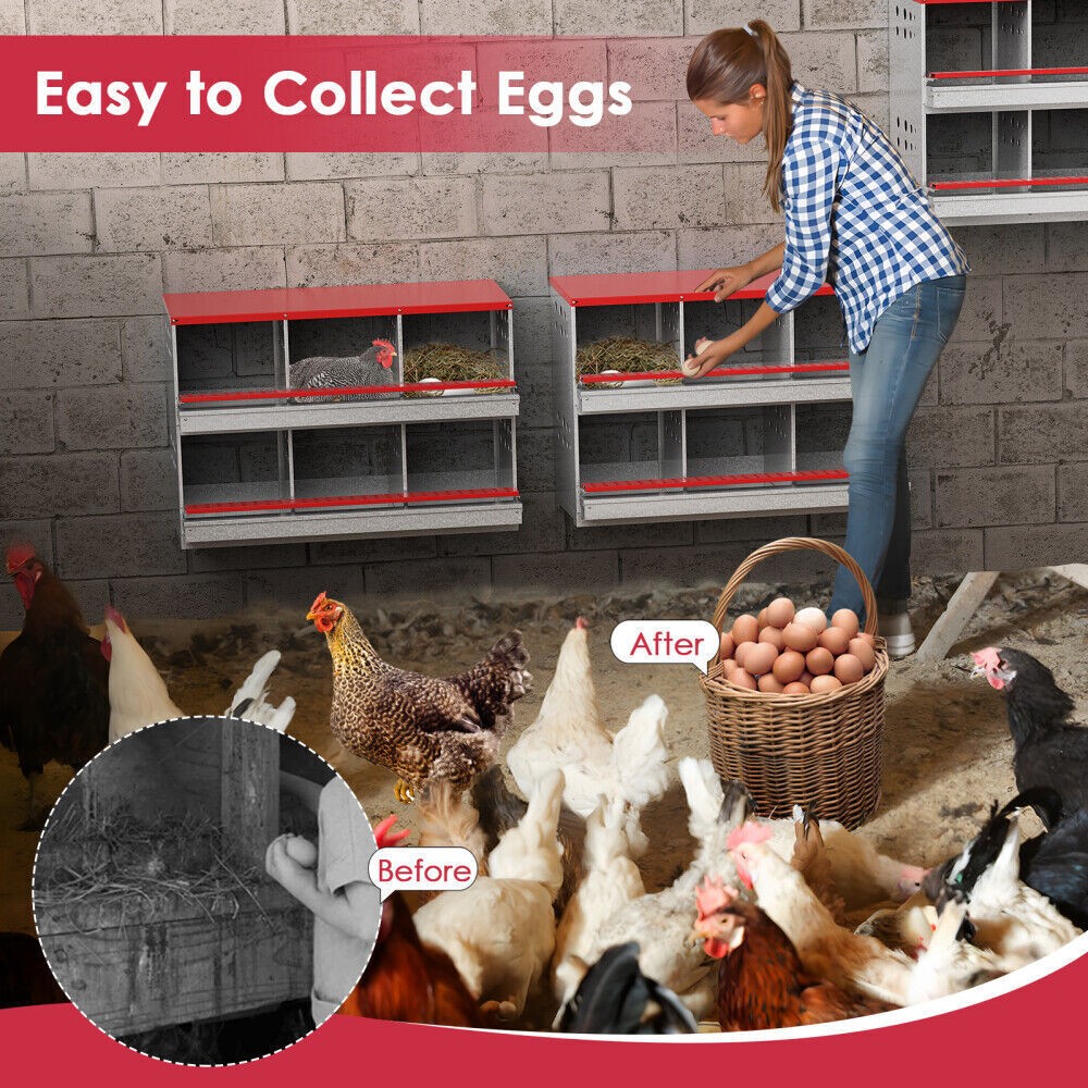New 6Hole Chicken Nesting Boxes Metal Egg Laying Brooding Box With Vent Hole Set
