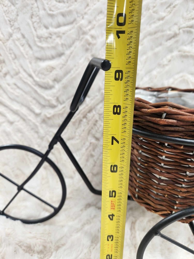 Tricycle Catchall Wicker Iron Planter