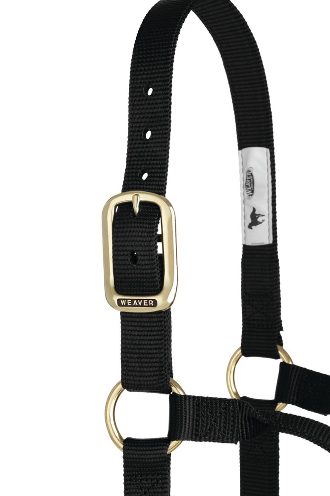 Original Non-Adjustable Halter , 1" Black
