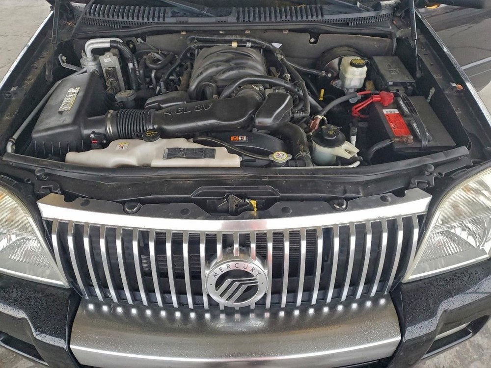 MOUNTNEER 2007 Glove Box 4971161