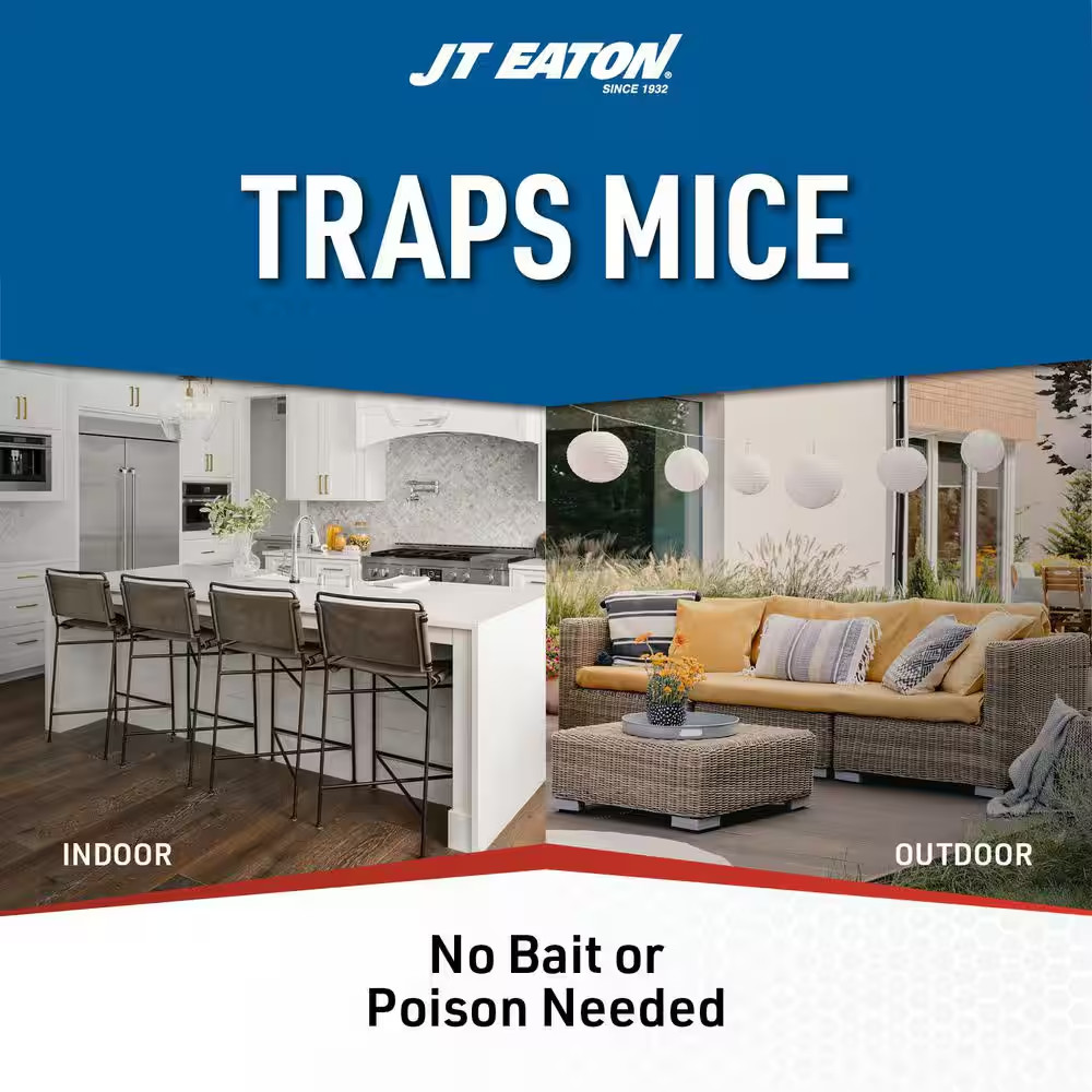 Wind-Up Live Multiple Catch Mouse Trap with Clear Inspection Window (12-Pack)