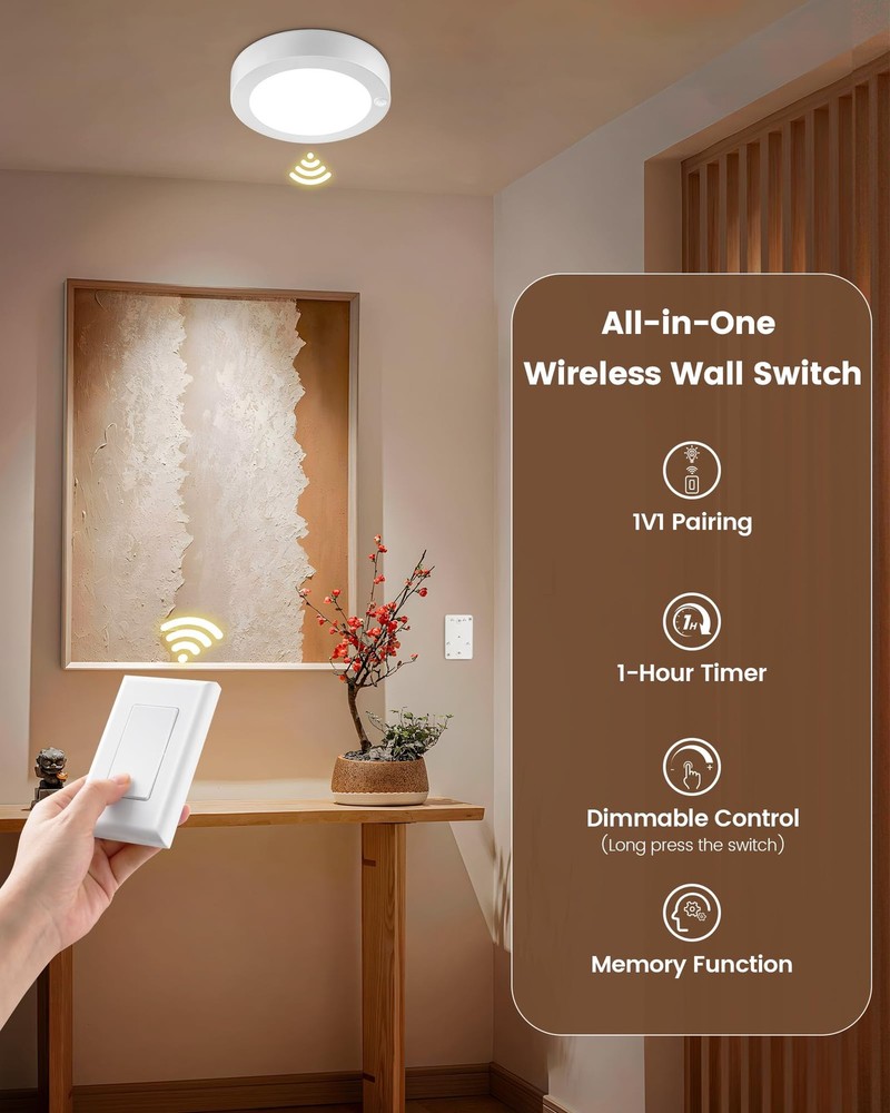 SURAIELEC Rechargeable Ceiling Light with Wall Switch, Rechargeable, White
