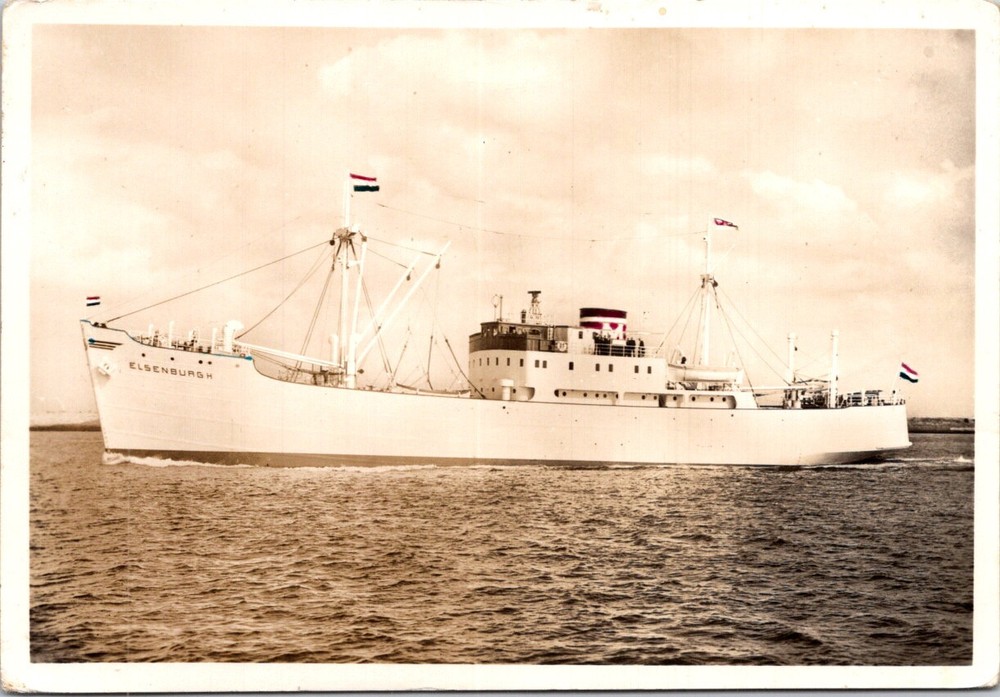 (46) Ship - cruise ship - MS Elsenburgh